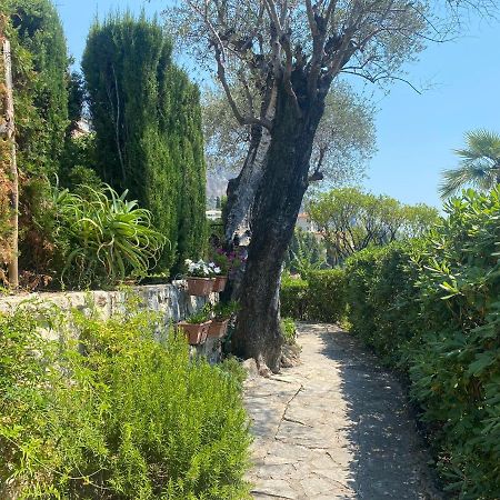 "Jardin Du Pian" Calme, Proche Gare, Mer Menton Dış mekan fotoğraf